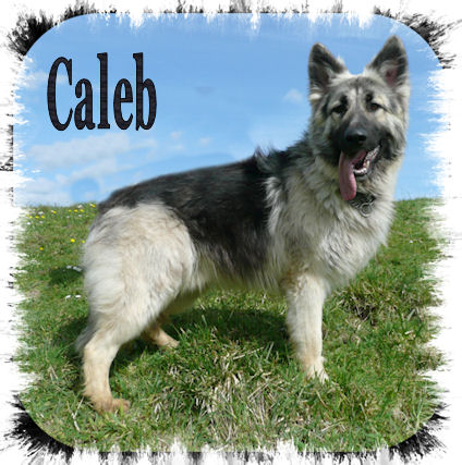 Caleb