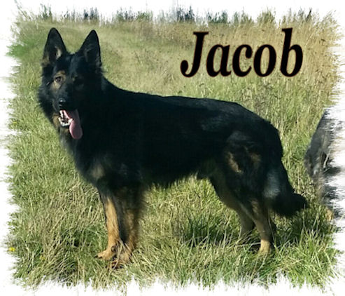 Jacob
