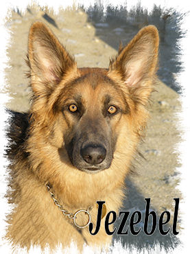 Jezebel