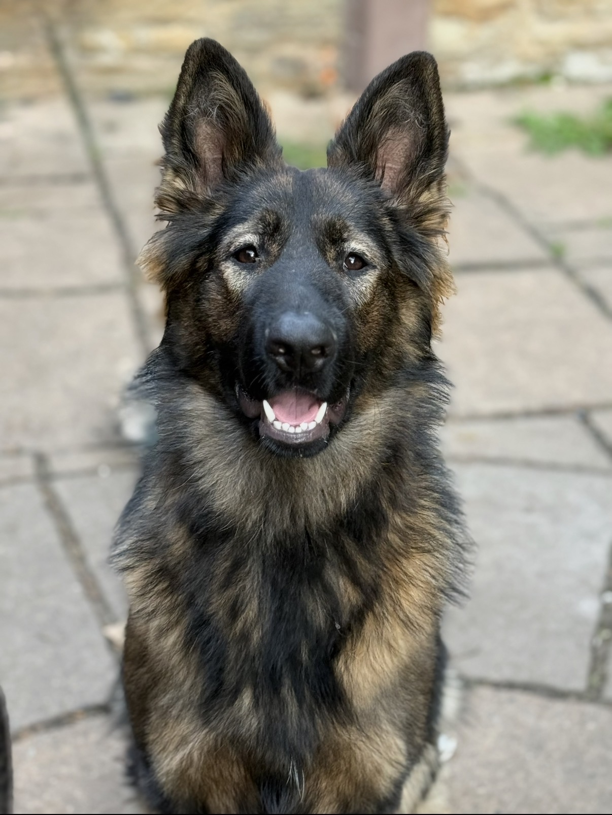 Kira