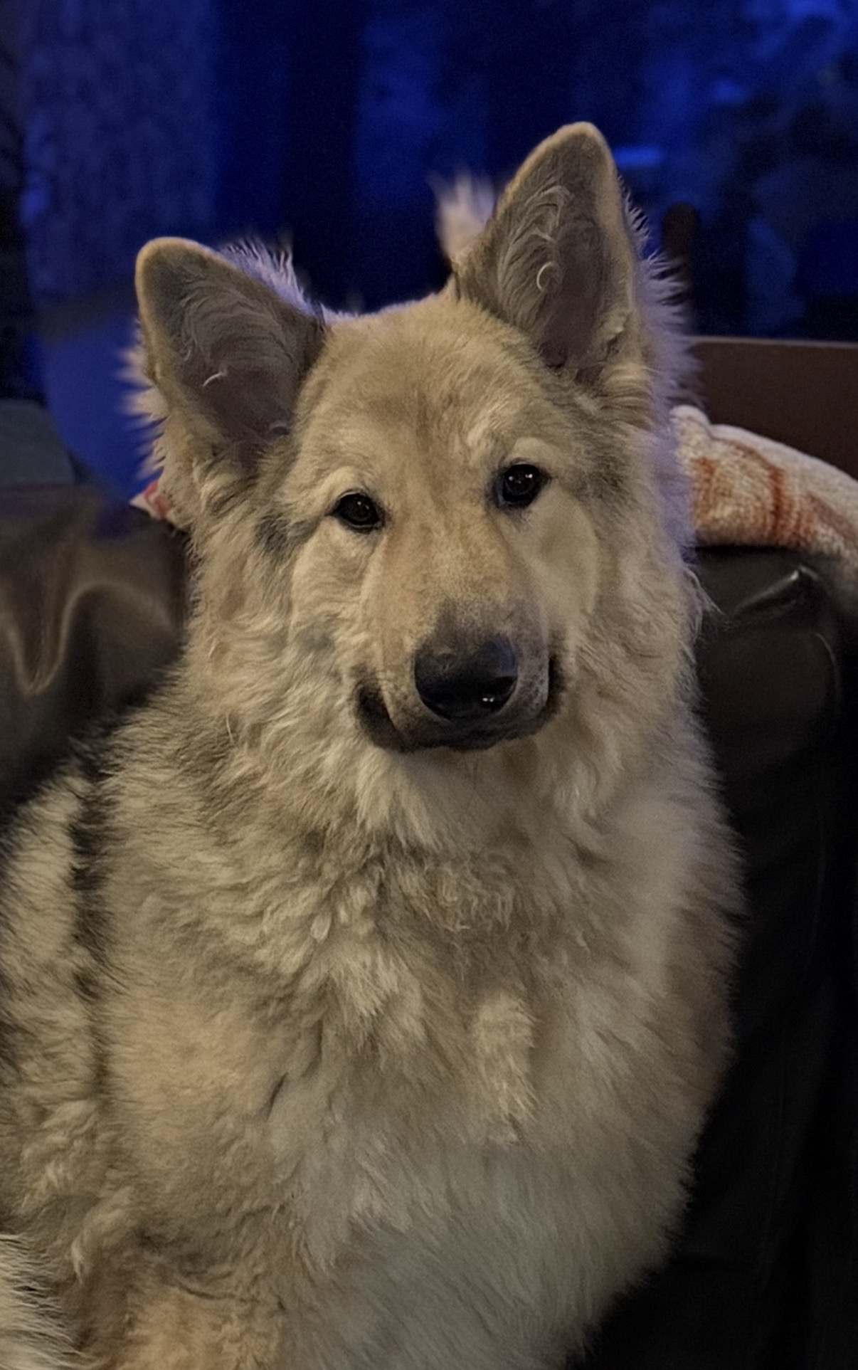 Laska
