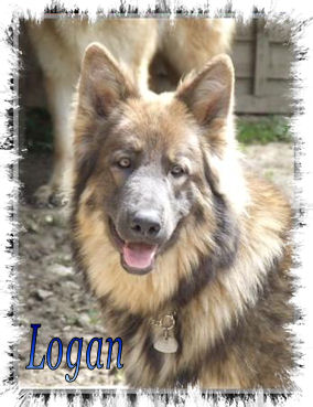 Logan