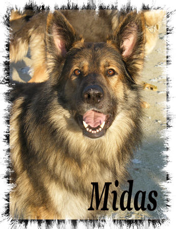 Midas