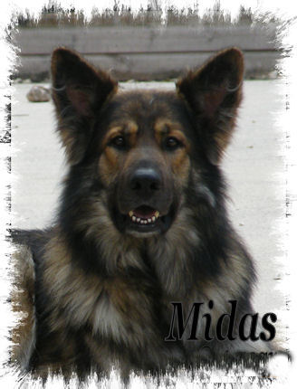 Midas
