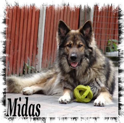 Midas