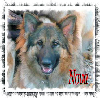 Nova