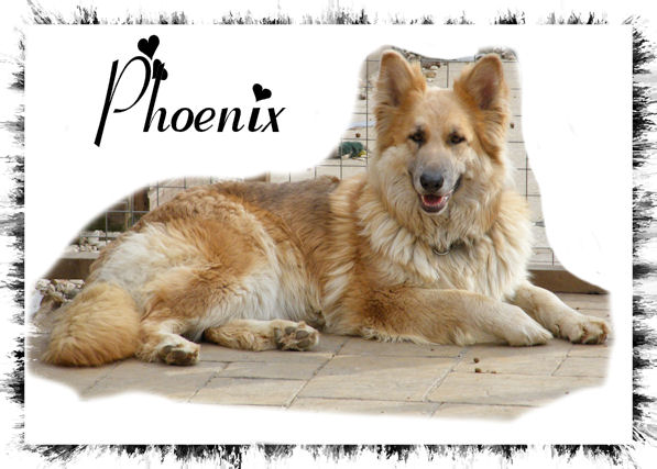 Phoenix