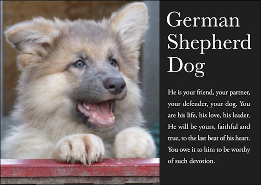 Phoenix sends a messaege...