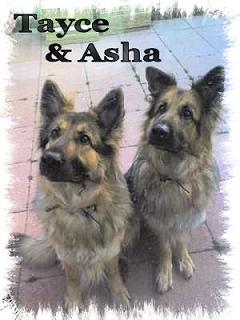 Tayce & Asha